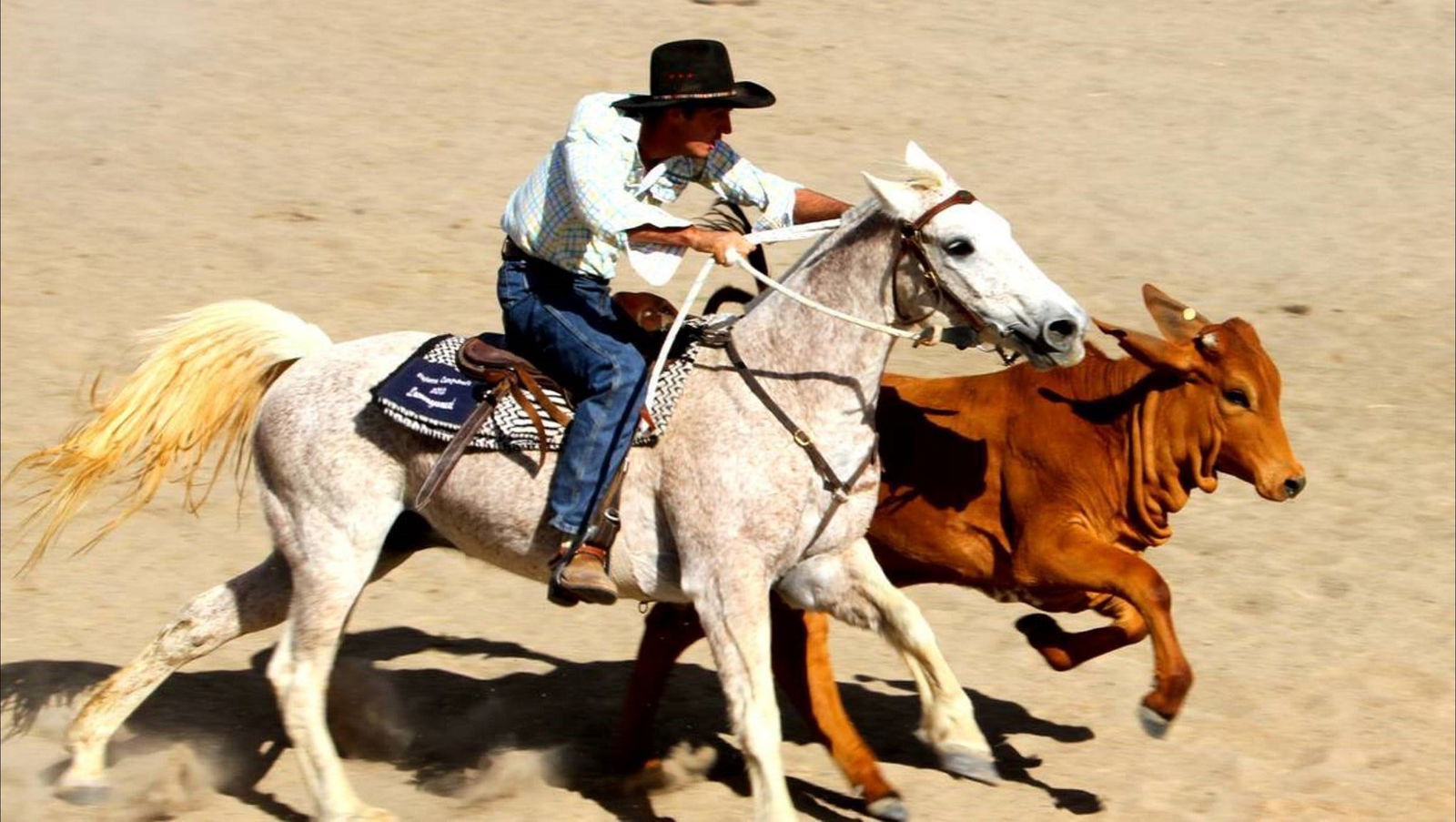 Eulo QLD Tourism Brisbane