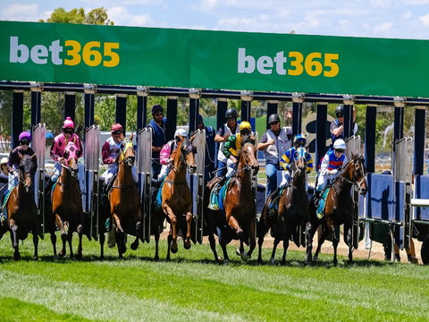 Bet 365 Caulfield Cup Day At Wodonga Race Course - Brisbane Tourism 1