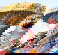 Campbelltown City Festival of Fisher's Ghost - Tourism Brisbane