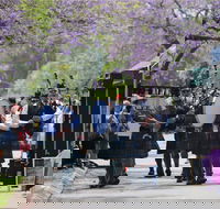 Celtic Festival of Queensland - Tourism Brisbane