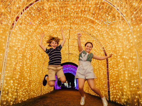 Christmas Lights Spectacular New Year's Eve At Hunter Valley Gardens - Tourism Brisbane 0