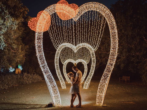 Christmas Lights Spectacular New Year's Eve At Hunter Valley Gardens - Tourism Brisbane 1