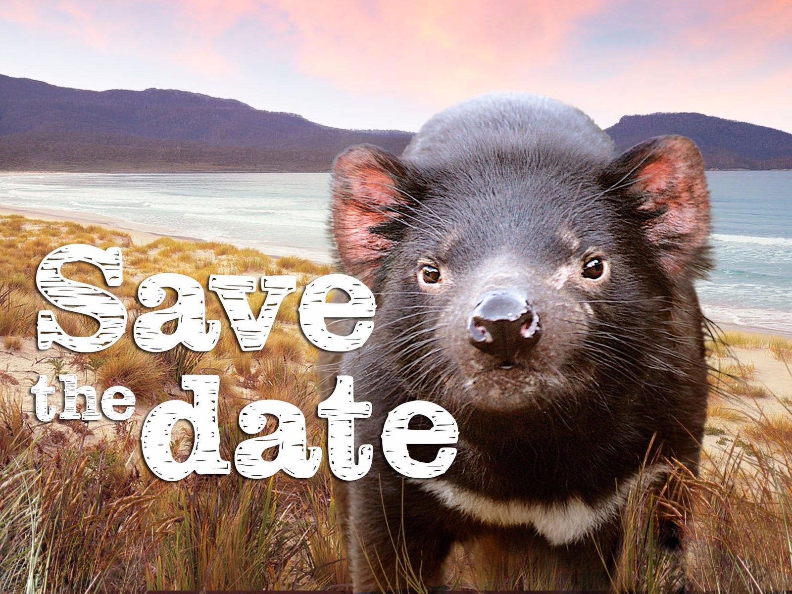 Eggs And Bacon Bay TAS Tourism Brisbane