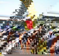 De Bortoli Wines Golden Rose Day - Tourism Brisbane