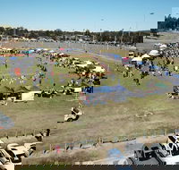 Dogs In the Park Swansea - Tourism Brisbane