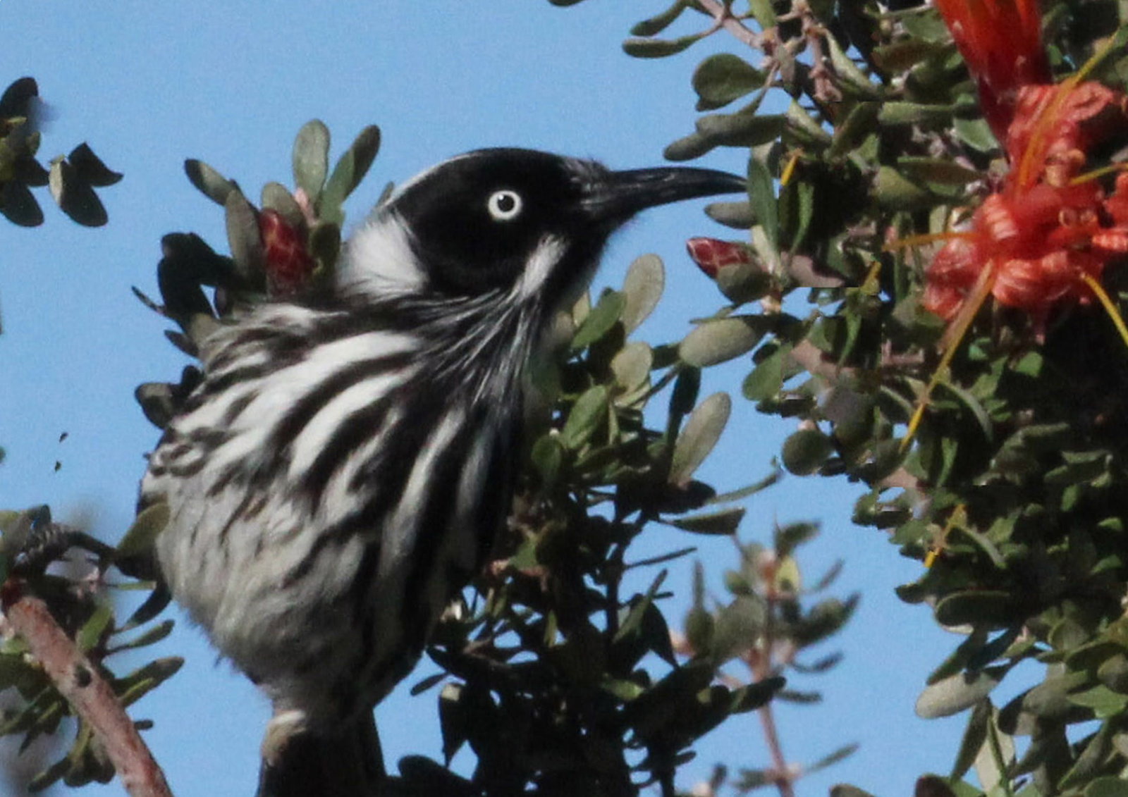 Esperance WA Tourism Brisbane