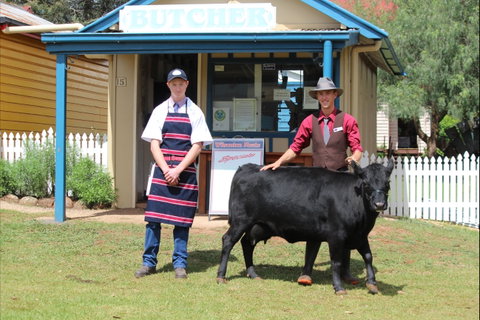 Festival Of The Big Cow - Tourism Brisbane 2