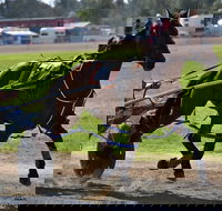 Forbes Show - Tourism Brisbane