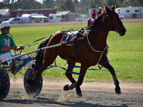 Forbes Show - Tourism Brisbane 0