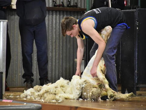 Forbes Show - Tourism Brisbane 1