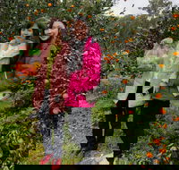Fruit Taste Adventure Tours - Brisbane 4u