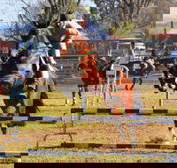 Glen Innes Pastoral and Agricultural Show - Tourism Brisbane