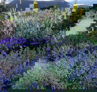 Highfield Gardens - Tourism Brisbane