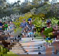 Husky Half Running Festival - Brisbane Tourism