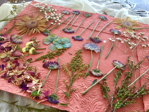 Introduction To Paper Making - Tourism Brisbane 0