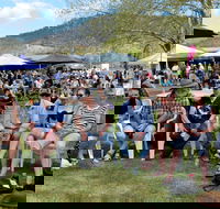 Jamming at Jingellic - Tourism Brisbane