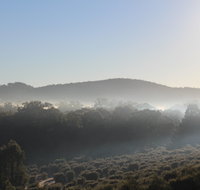 Mudgeeque - Tourism Brisbane