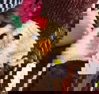 Murrindindi Beanie  Fibre Festival Online - Tourism Brisbane