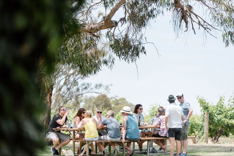 Music On The Murray - Tourism Brisbane 0