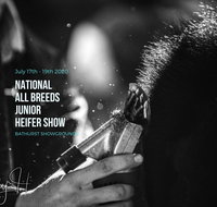 National All Breeds Junior Heifer Show - Tourism Brisbane