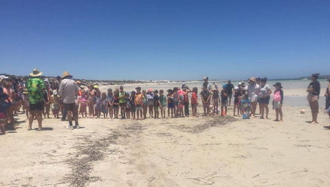 Perlubie Beach Sports Day - Brisbane Tourism 1