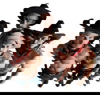 RAILED by Head First Acrobats - Tourism Brisbane