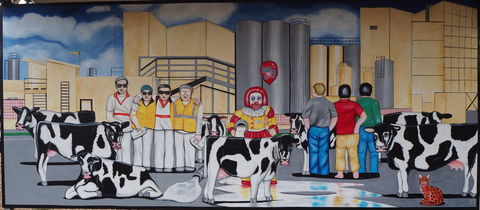 Rochester Mural Festival - Tourism Brisbane 1