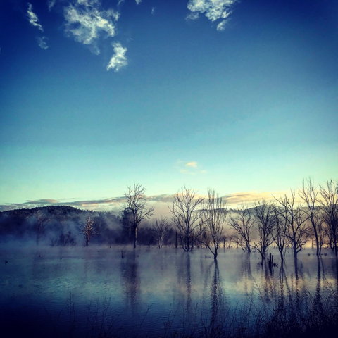 Scenic Rim Ultra - Tourism Brisbane 0