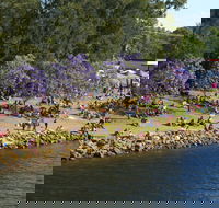 Shoalhaven River Festival - Tourism Brisbane