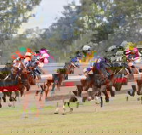 Thangool Races - Tourism Brisbane
