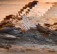 The Bay Games - Jervis Bay - Brisbane Tourism