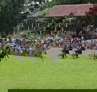 Tumut Boxing Day Races - Brisbane 4u