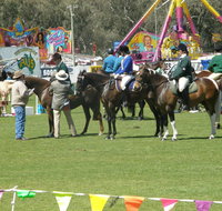 Wangaratta Show - Tourism Brisbane