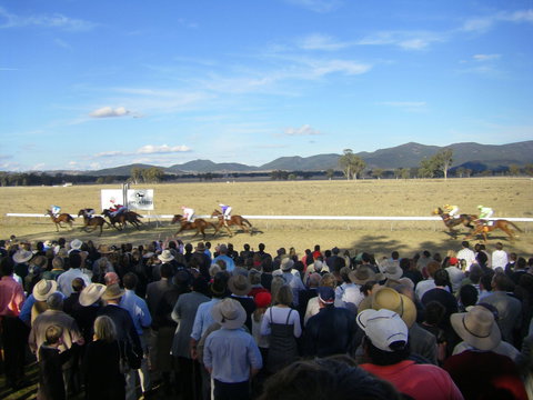 Wean Picnic Races - Brisbane Tourism 1