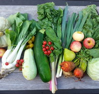 Wingham Farmers Market - Tourism Brisbane