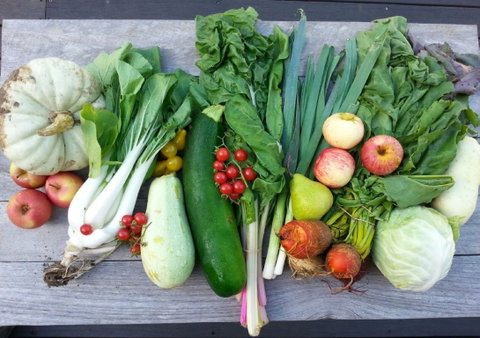 Wingham Farmers Market - Tourism Brisbane 0