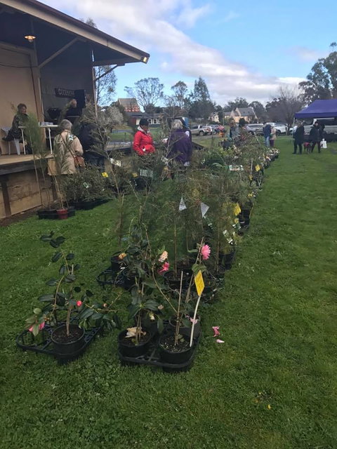 Yea Railway Market - Tourism Brisbane 2