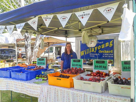 Young And Region Farmers Markets - Brisbane 4u 1