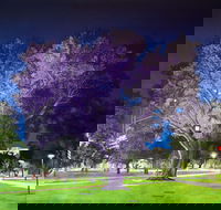 Adelaide Parklands Art Prize  Finalists Exhibition  Sale 2020 - Brisbane Tourism
