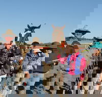 Annual Prairie Races - Tourism Brisbane