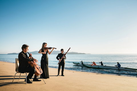 Australian Festival Of Chamber Music - Brisbane Tourism 0