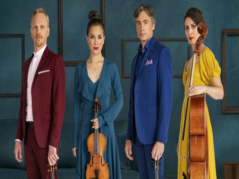 Australian String Quartet Dungog Weekend Of Music - Tourism Brisbane 0
