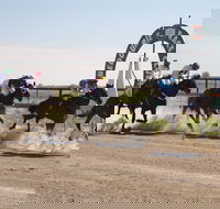 Bedourie Races and Rodeo - Tourism Brisbane
