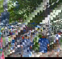 Bellingen Community Markets - Tourism Brisbane