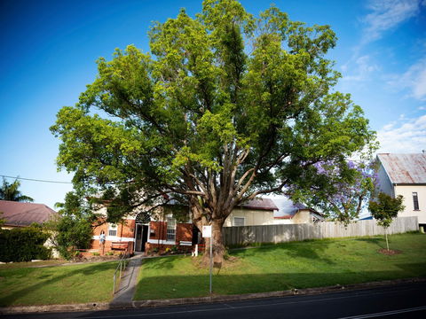 Big Bat Wildlife And Eco Festival - Brisbane 4u 0