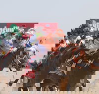 Birdsville Races - Tourism Brisbane