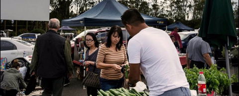 Blacktown Markets - Tourism Brisbane 0