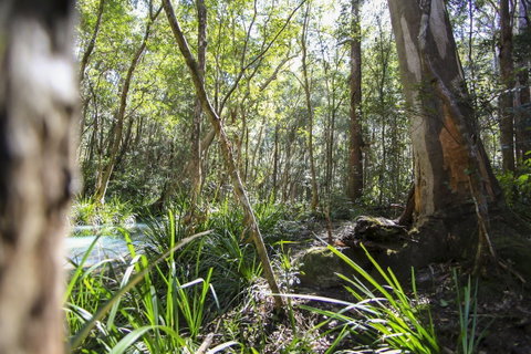 Bottlebutt Bash Trail Run - Tourism Brisbane 0