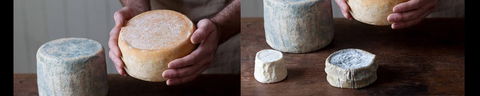 Cheese Making Basics Class - Tourism Brisbane 0