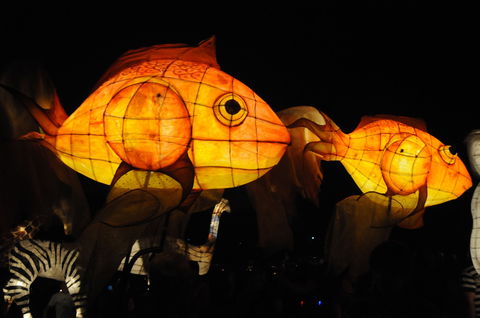 DREAM Festival: Music And Markets Event - Tourism Brisbane 2